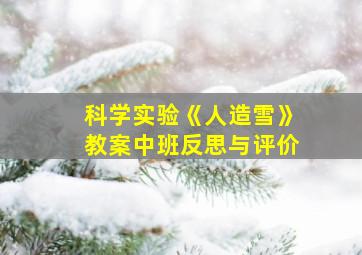 科学实验《人造雪》教案中班反思与评价