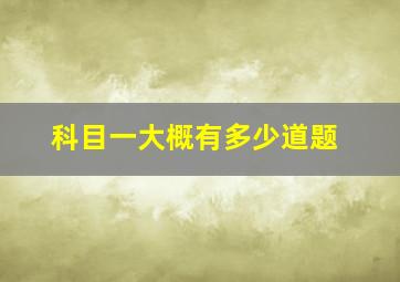 科目一大概有多少道题