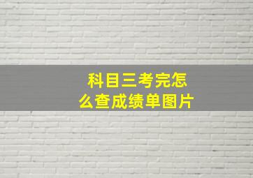 科目三考完怎么查成绩单图片