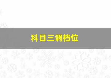 科目三调档位