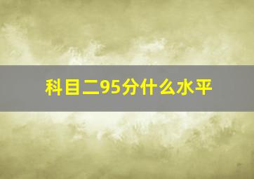 科目二95分什么水平