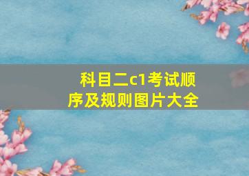 科目二c1考试顺序及规则图片大全