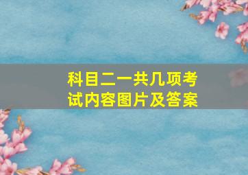 科目二一共几项考试内容图片及答案