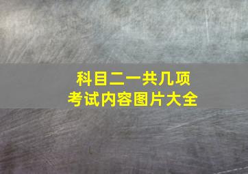 科目二一共几项考试内容图片大全