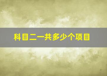 科目二一共多少个项目