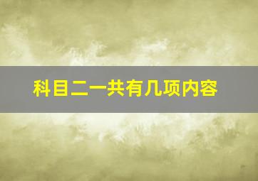 科目二一共有几项内容