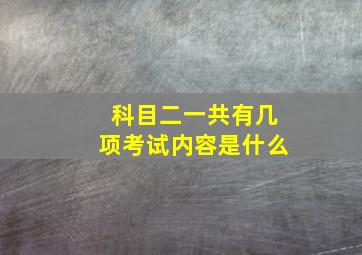 科目二一共有几项考试内容是什么