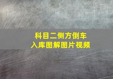 科目二侧方倒车入库图解图片视频