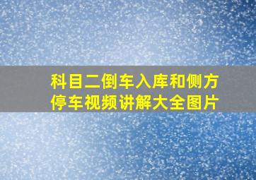 科目二倒车入库和侧方停车视频讲解大全图片