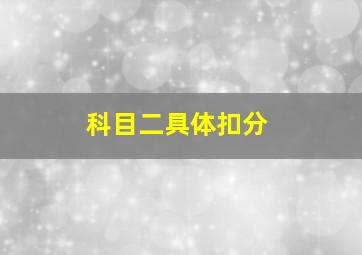 科目二具体扣分