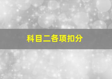 科目二各项扣分