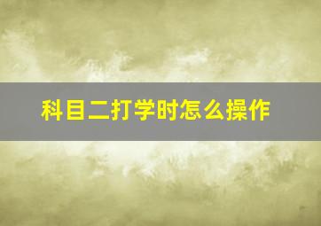 科目二打学时怎么操作