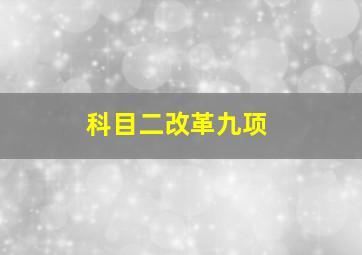 科目二改革九项