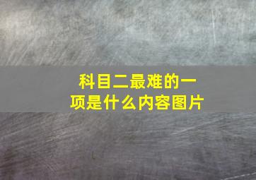 科目二最难的一项是什么内容图片