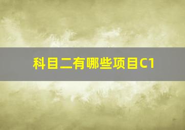 科目二有哪些项目C1