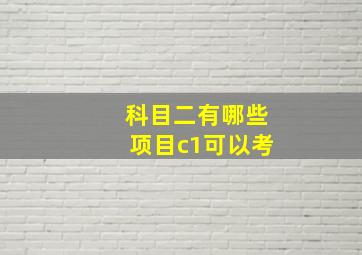 科目二有哪些项目c1可以考