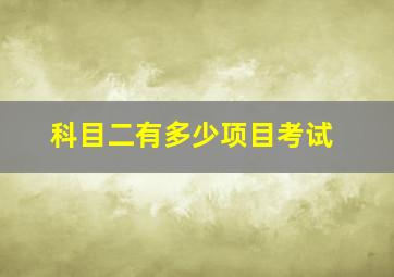 科目二有多少项目考试