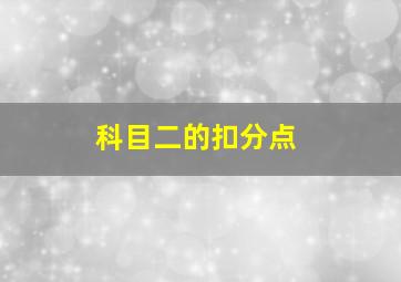 科目二的扣分点