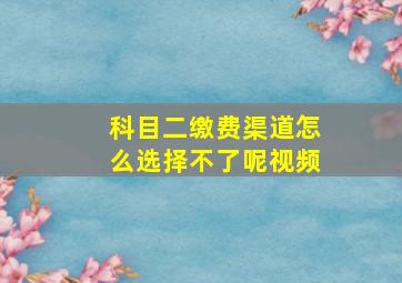 科目二缴费渠道怎么选择不了呢视频