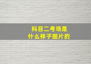 科目二考场是什么样子图片的