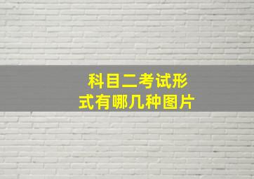 科目二考试形式有哪几种图片