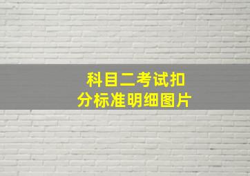 科目二考试扣分标准明细图片