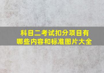 科目二考试扣分项目有哪些内容和标准图片大全