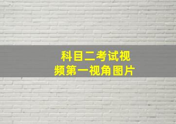 科目二考试视频第一视角图片