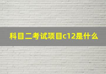 科目二考试项目c12是什么