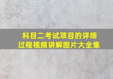 科目二考试项目的详细过程视频讲解图片大全集