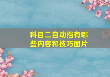 科目二自动挡有哪些内容和技巧图片