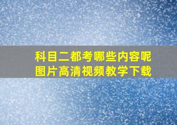 科目二都考哪些内容呢图片高清视频教学下载