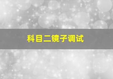 科目二镜子调试