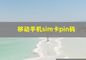 移动手机sim卡pin码