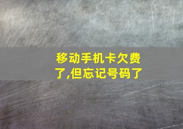 移动手机卡欠费了,但忘记号码了