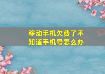 移动手机欠费了不知道手机号怎么办