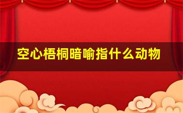 空心梧桐暗喻指什么动物