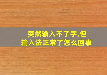 突然输入不了字,但输入法正常了怎么回事