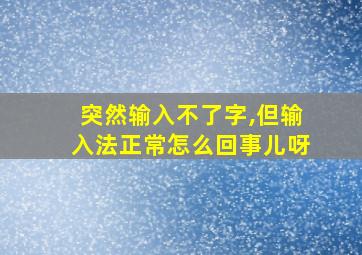 突然输入不了字,但输入法正常怎么回事儿呀