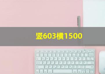 竖603横1500