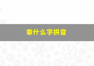 章什么字拼音