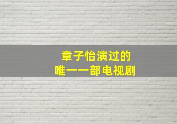 章子怡演过的唯一一部电视剧