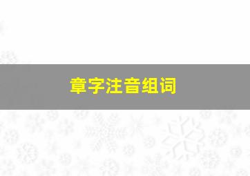 章字注音组词