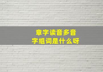 章字读音多音字组词是什么呀