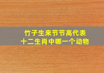 竹子生来节节高代表十二生肖中哪一个动物