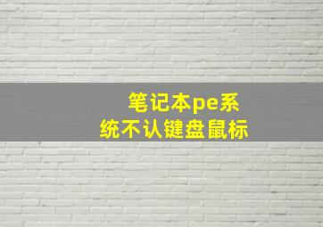 笔记本pe系统不认键盘鼠标