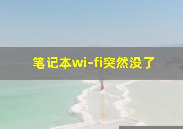 笔记本wi-fi突然没了