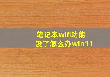 笔记本wifi功能没了怎么办win11