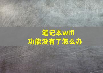 笔记本wifi功能没有了怎么办