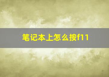 笔记本上怎么按f11